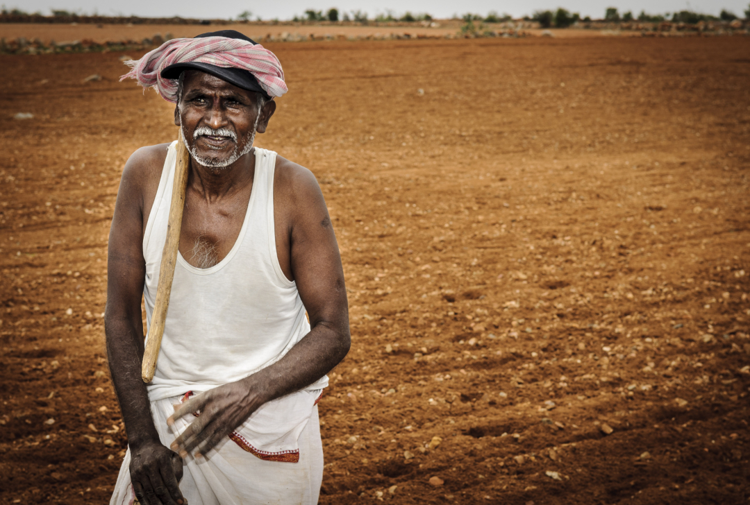 Desarrollo de la horticultura a través de sistemas de riego por goteo en India