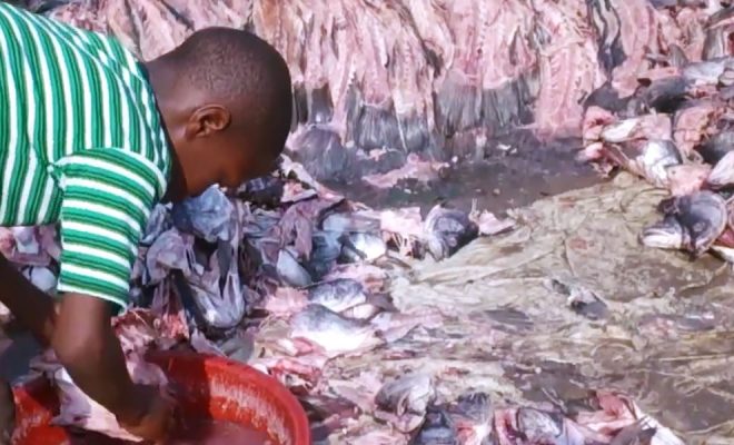 Agua limpia para lavar pescado