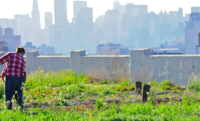 Urban agriculture: concrete can be green