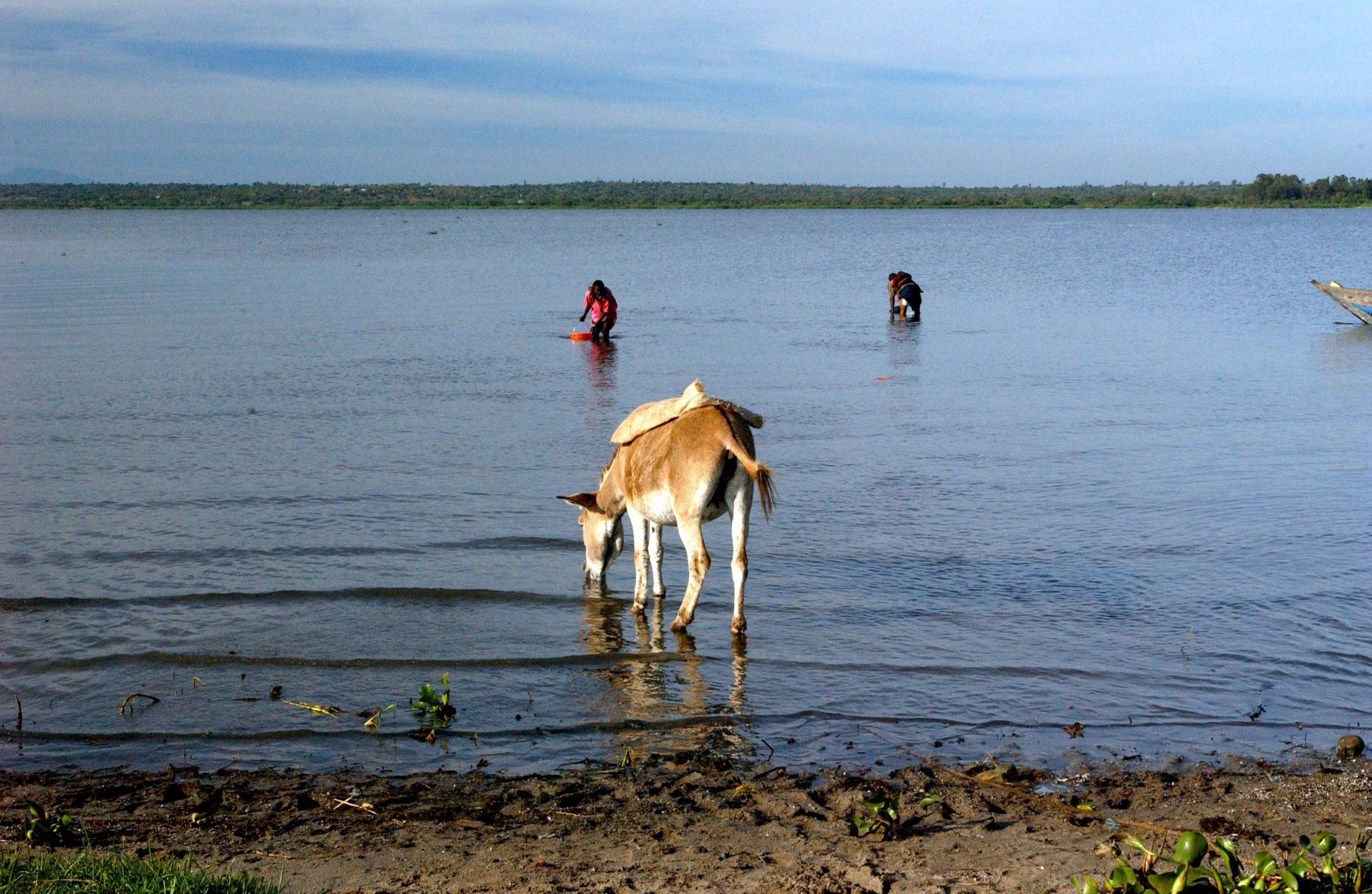 We Are Water image