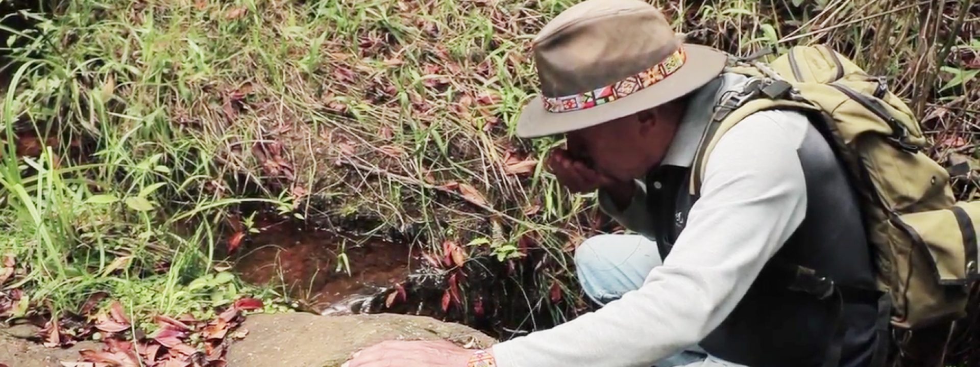 Pristine water, a treasure in the heights of Colombia