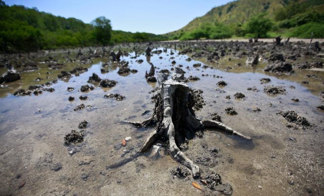 El reto del I+D+i del agua