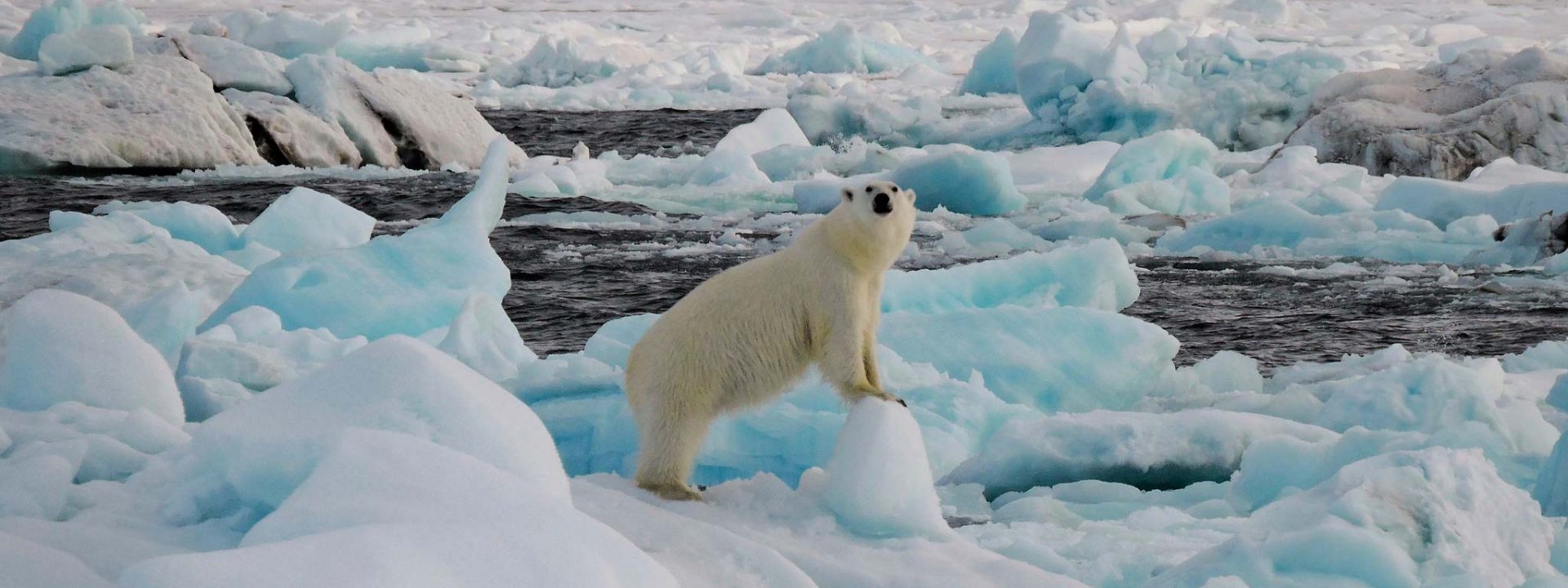 Clima extremo, un reto para la ciencia