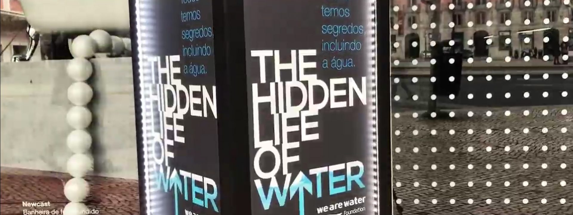 The hidden life of water does appear in the photo