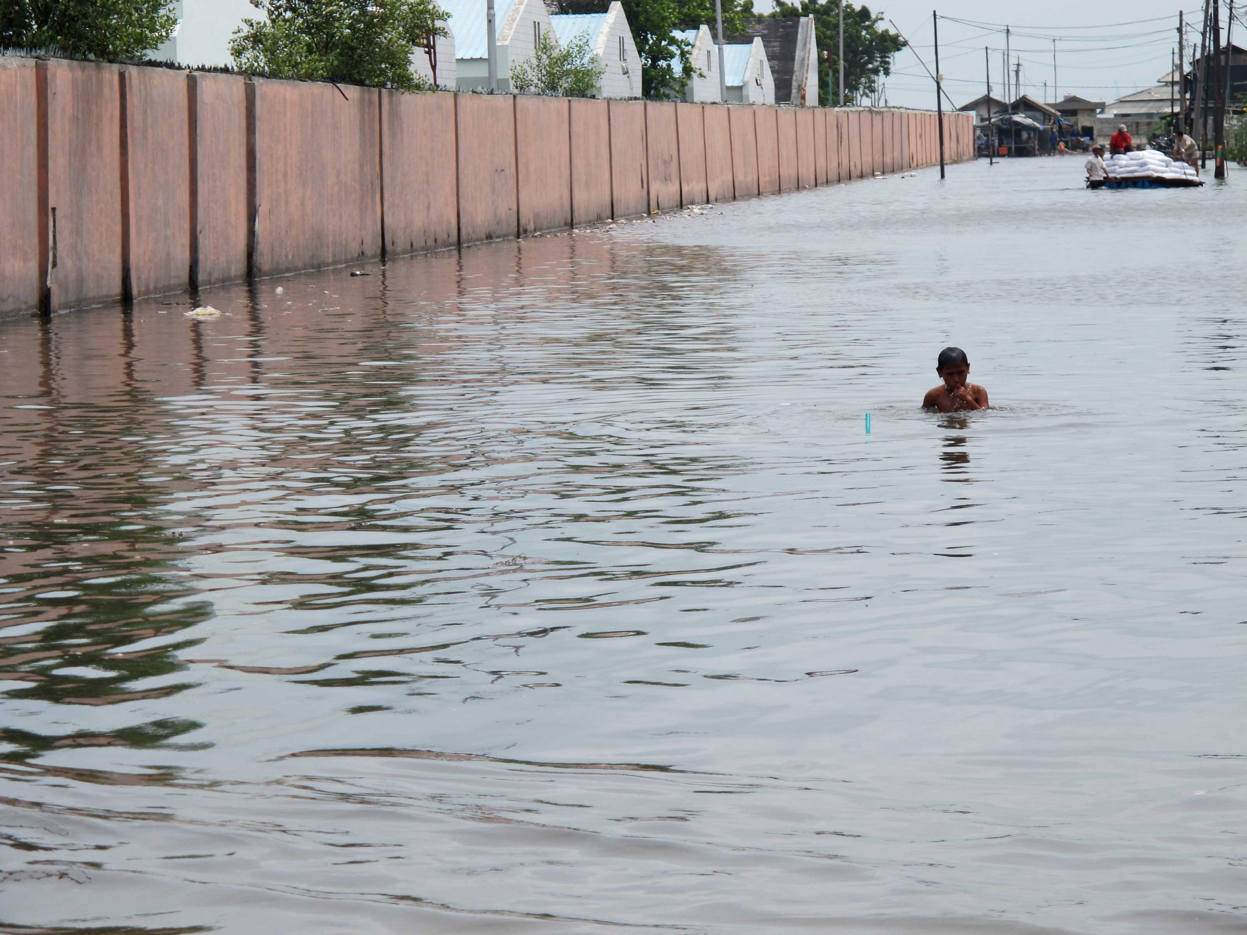 Imagen We Are Water