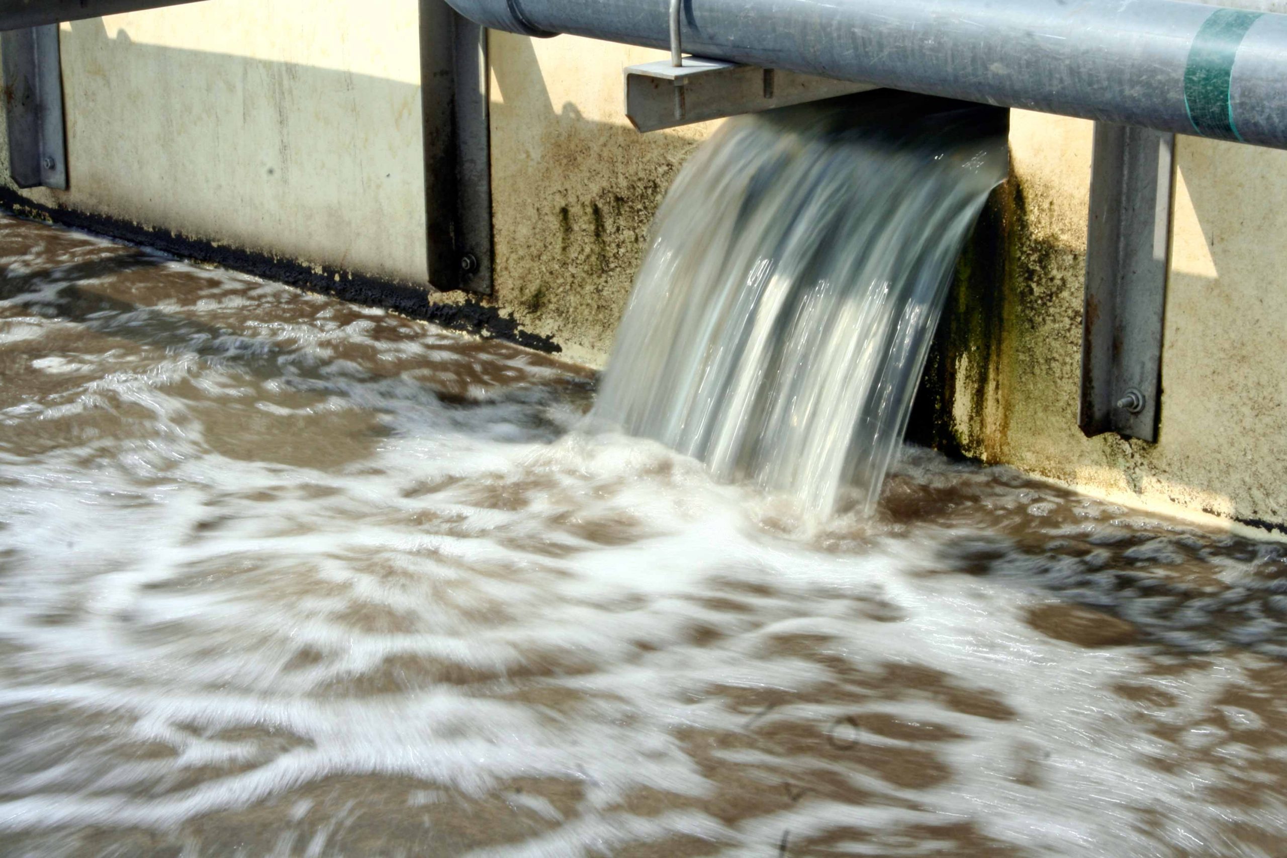 We Are Water image