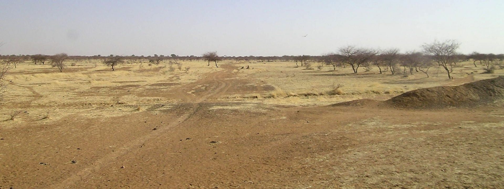 The Sahel, desertification beyond drought