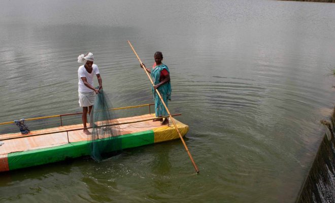 Small reservoirs, a chance for life