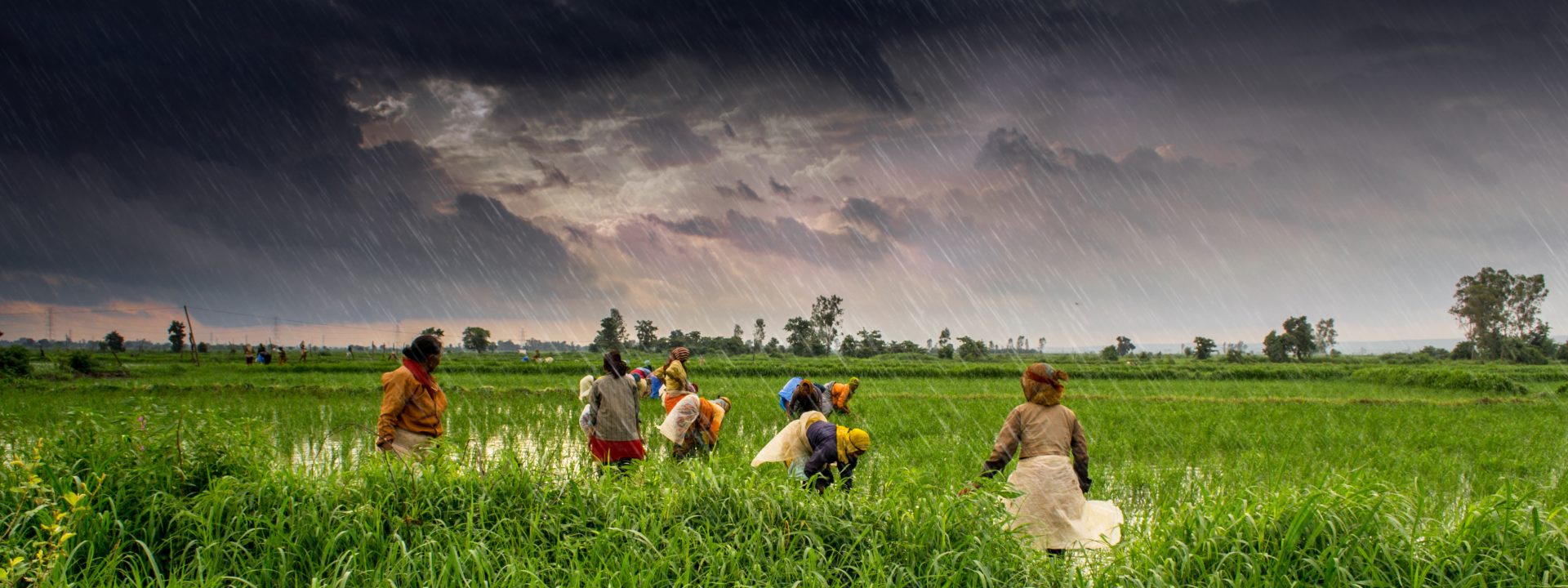 India: la cara humana de la crisis climática