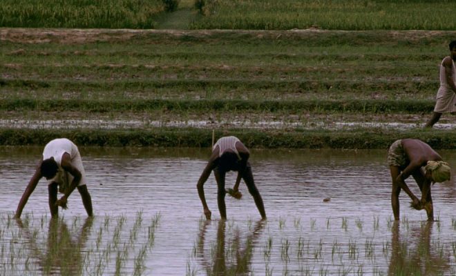 El agua nos hace inteligentes