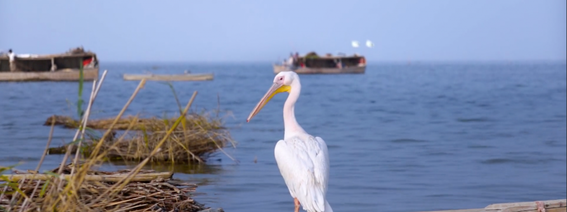 El incierto destino del lago Manchar