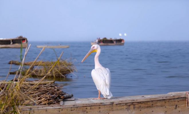 El incierto destino del lago Manchar