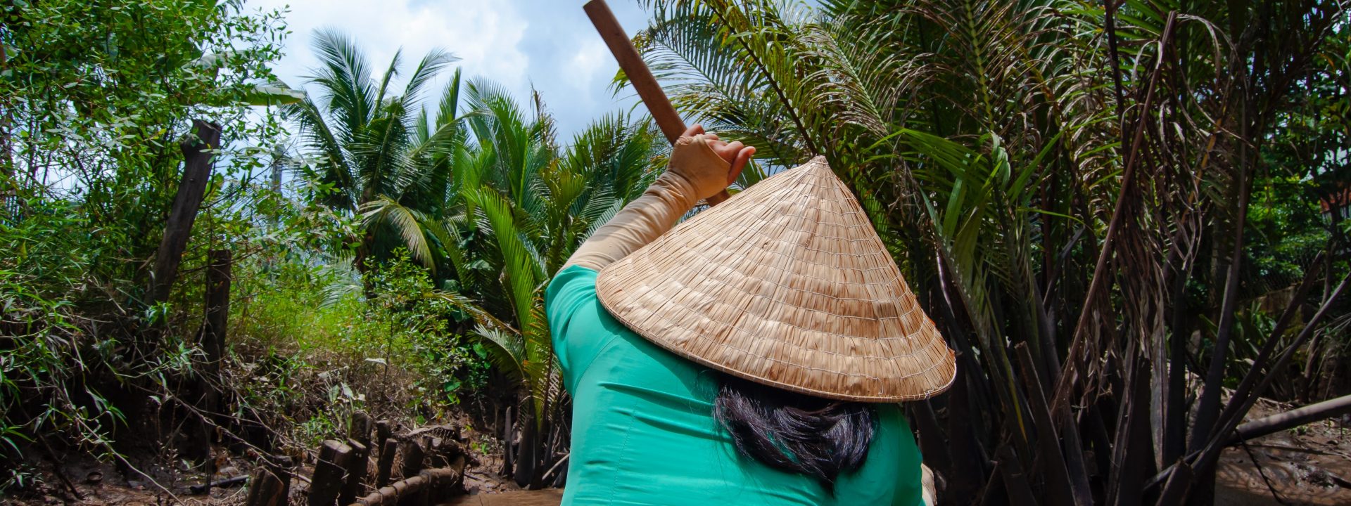 The Mekong Delta, the drama of all deltas