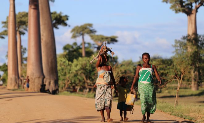 Madagascar: when “red wind” means hunger