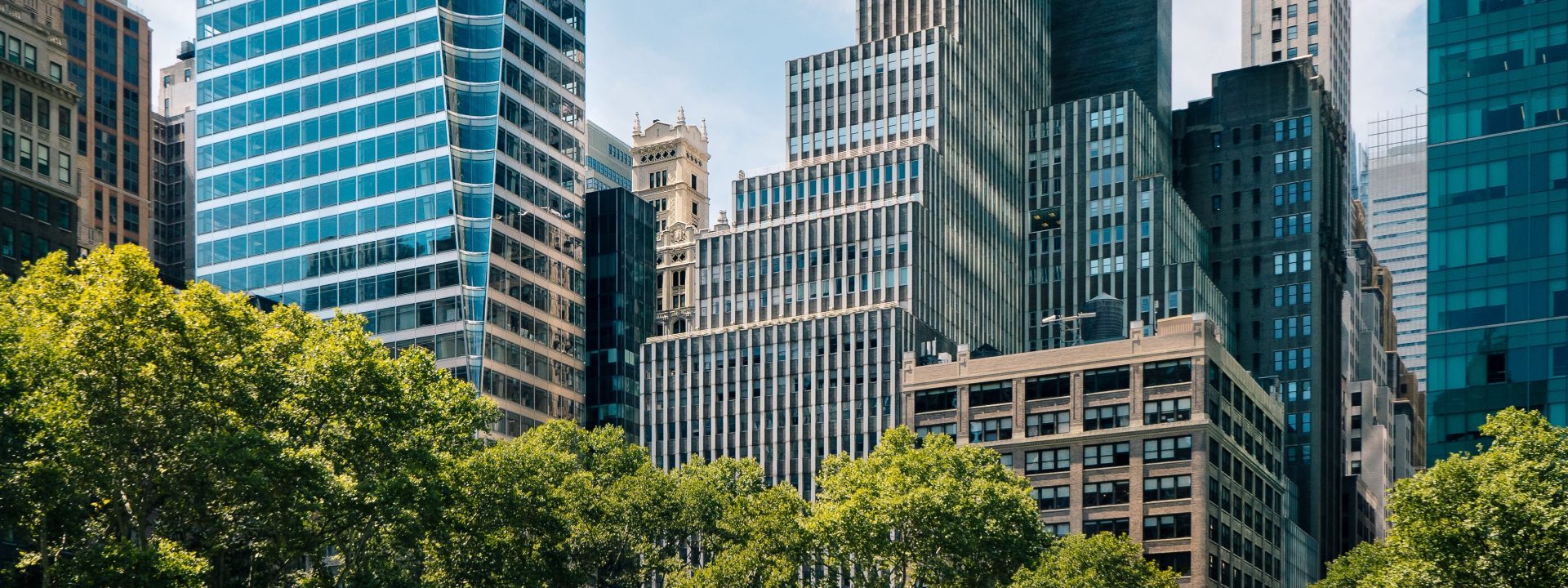 Árboles en la ciudad: mucho más que sombra