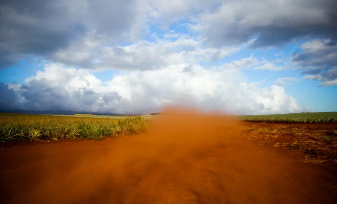 Desert dust feeds the rain forest
