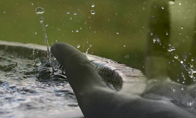 Captación de agua de lluvia, un recurso necesario