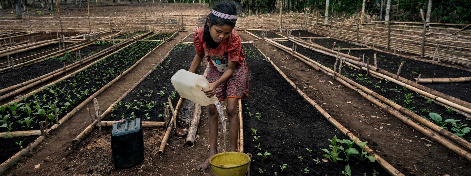 Agricultura regenerativa: devolver la vida al suelo