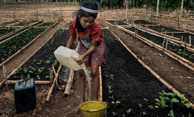 Agricultura regenerativa: devolver la vida al suelo