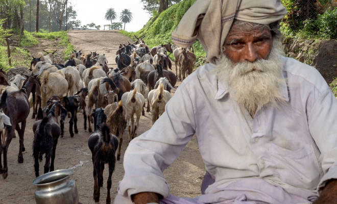 India: el mayor reto agrícola obliga a salvar el agua