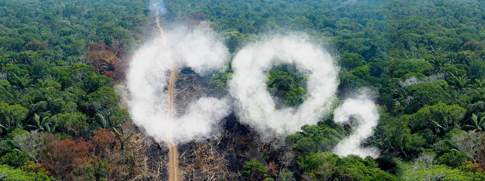 La Amazonía: más allá del carbono