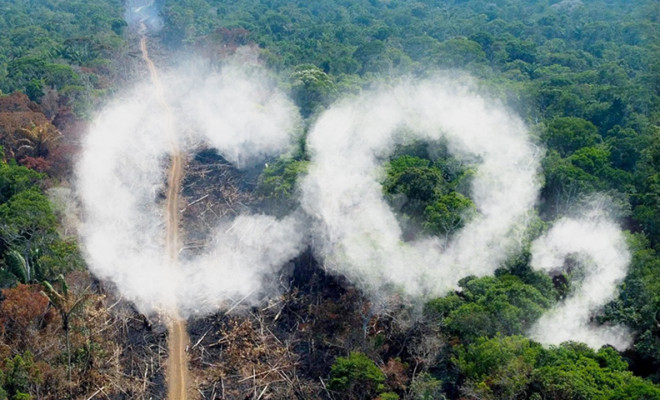 La Amazonía: más allá del carbono
