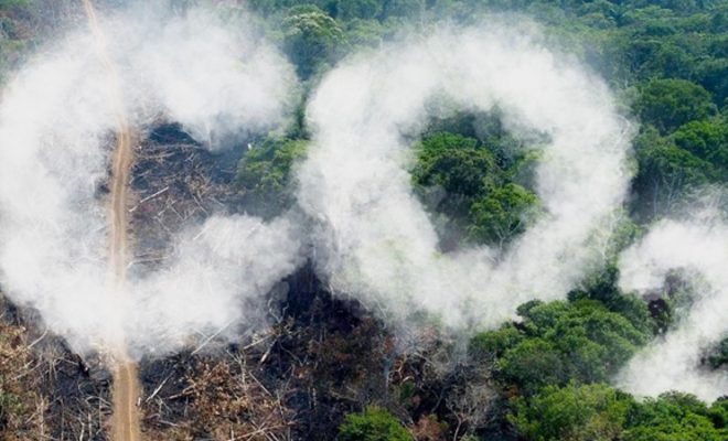 The Amazon: beyond carbon