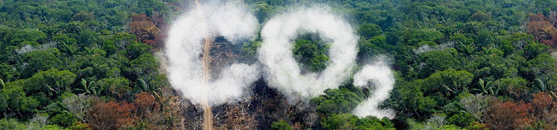 Amazon Decarbonization The Amazon: beyond carbon - We Are Water