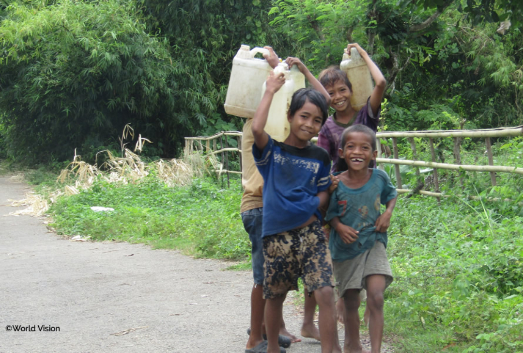 Improvement of the Access to Drinking Water in Nusa Tenggara Timur, Lesser Sunda Islands, Indonesia