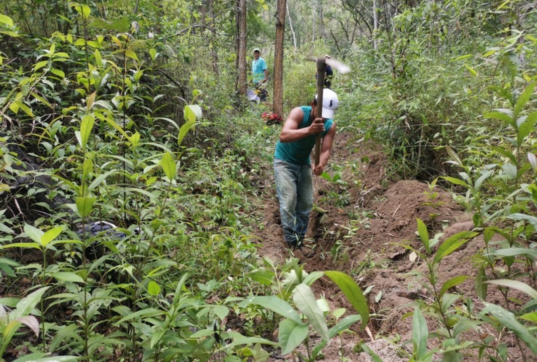 Construcción y rehabilitación de sistemas de agua y formación en saneamiento e higiene en El Paraíso, Honduras