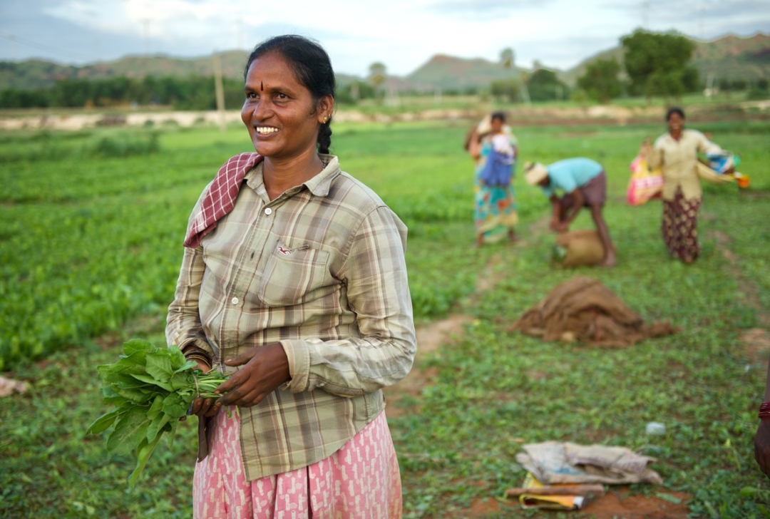 Saving Water and Saving Lives in Mamillakunta and Anumpalli, Kurnool and Nandyal Districts, Andhra Pradesh, India