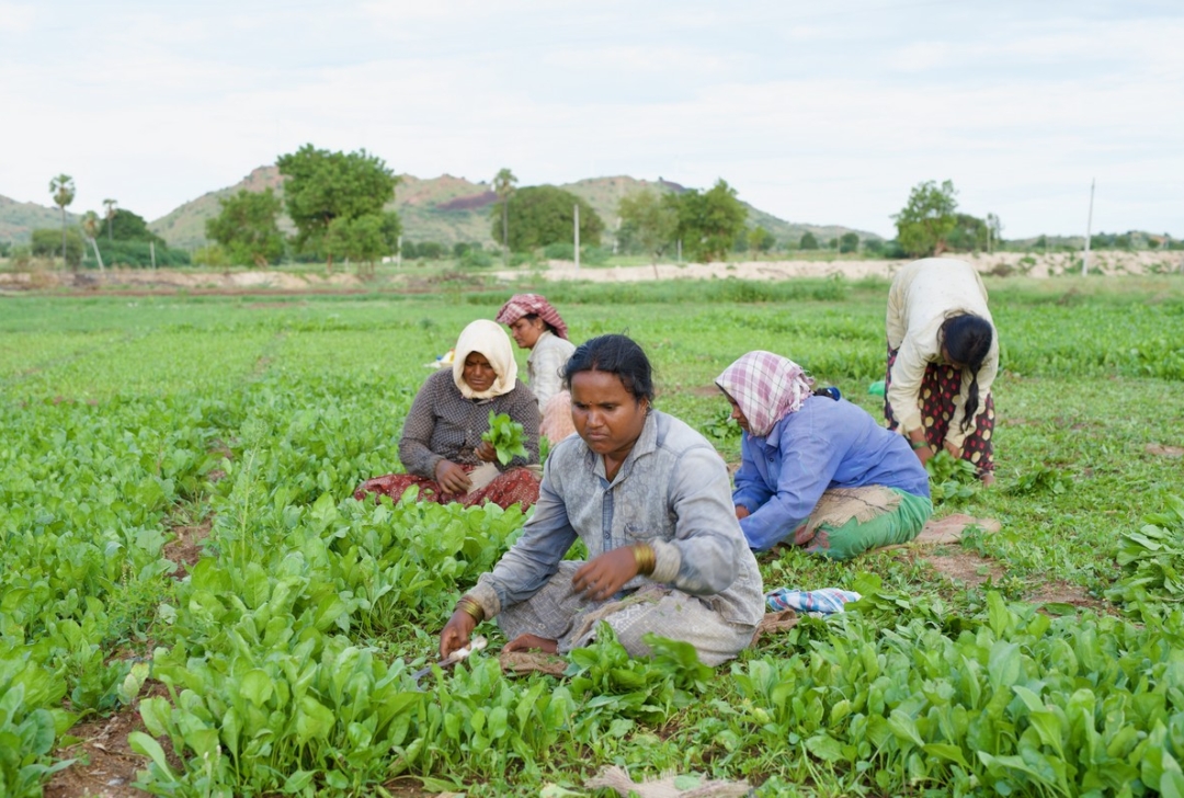 Promoting sustainability and better management of water resources through watershed structures in Alwar, Rajasthan, India