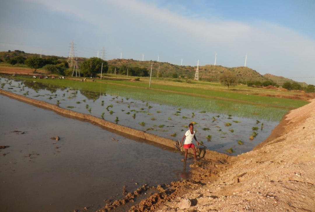 Conservación del agua para los medios de vida sostenibles de los agricultores en la aldea de Rekulakunta