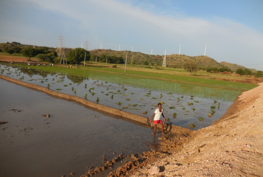 Water conservation for sustainable livelihoods of farmers in Rekulakunta village of Ananthapuram District, Andhra Pradesh, India