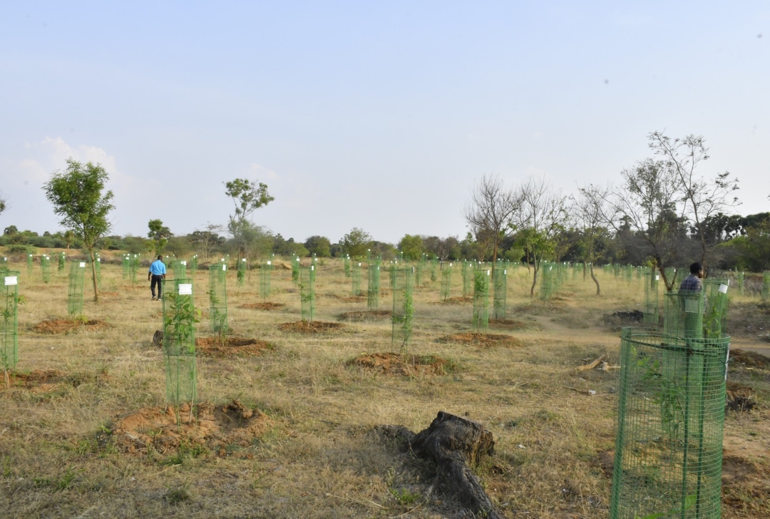 Water regeneration in six villages in Marungapuri, Tiruchirappalli district, Tamil Nadu, India.