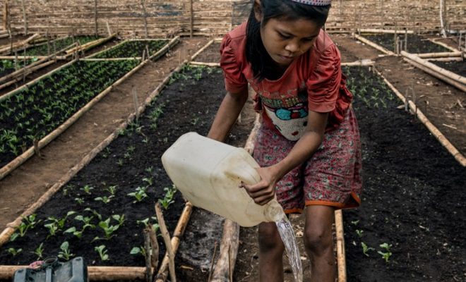 Regenerative agriculture: bringing life back to topsoil