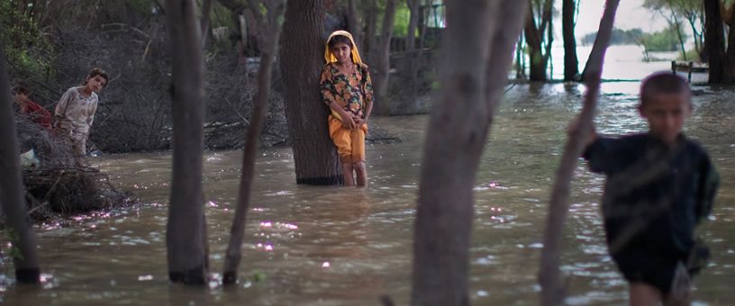 Imagen We Are Water