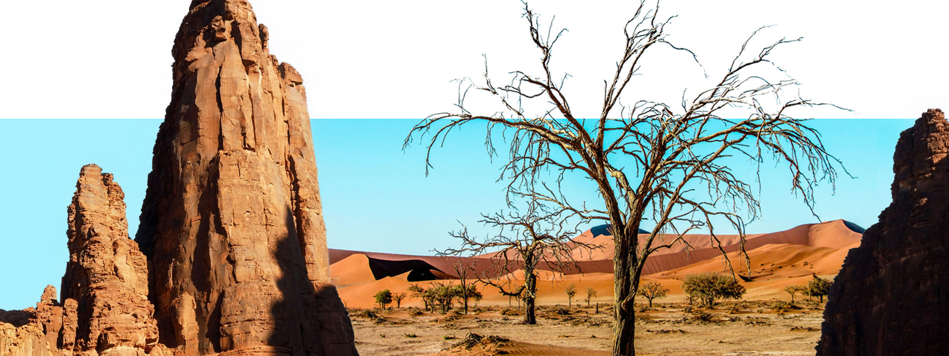 Oasis: lo que nos enseña el agua del desierto