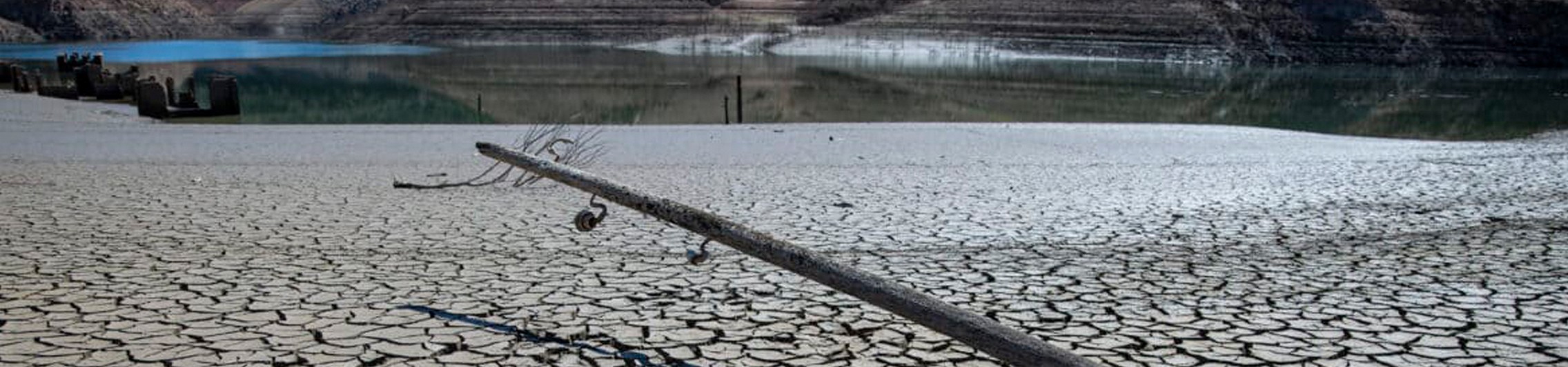 Learning from Scarcity: The Laboratory of a Drought - We Are Water