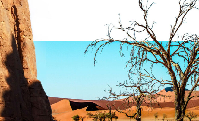 Oases: What Desert Water Teaches Us