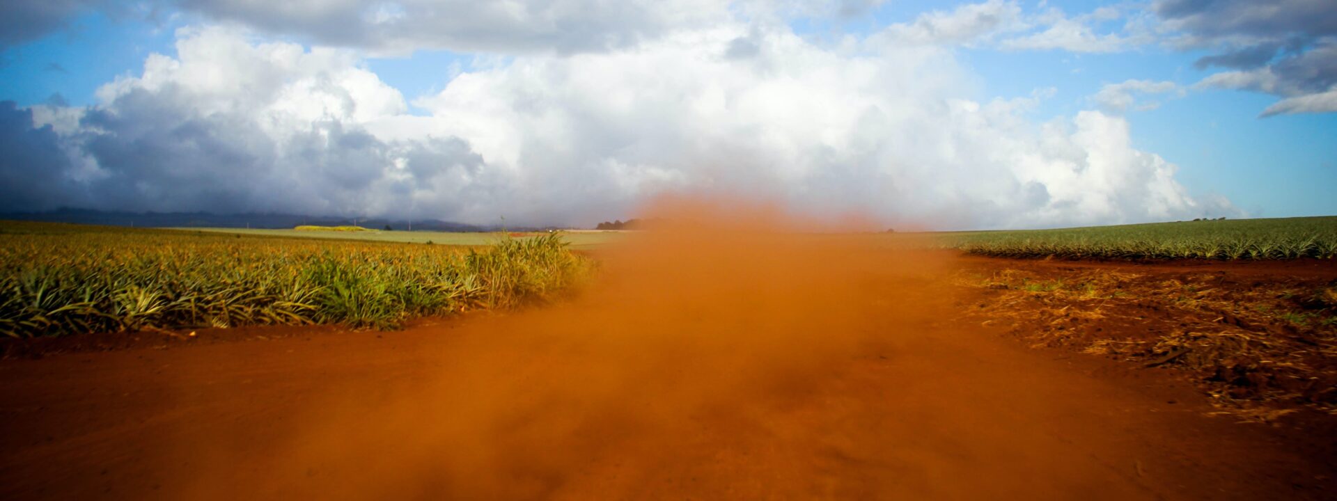 El polvo del desierto alimenta la selva