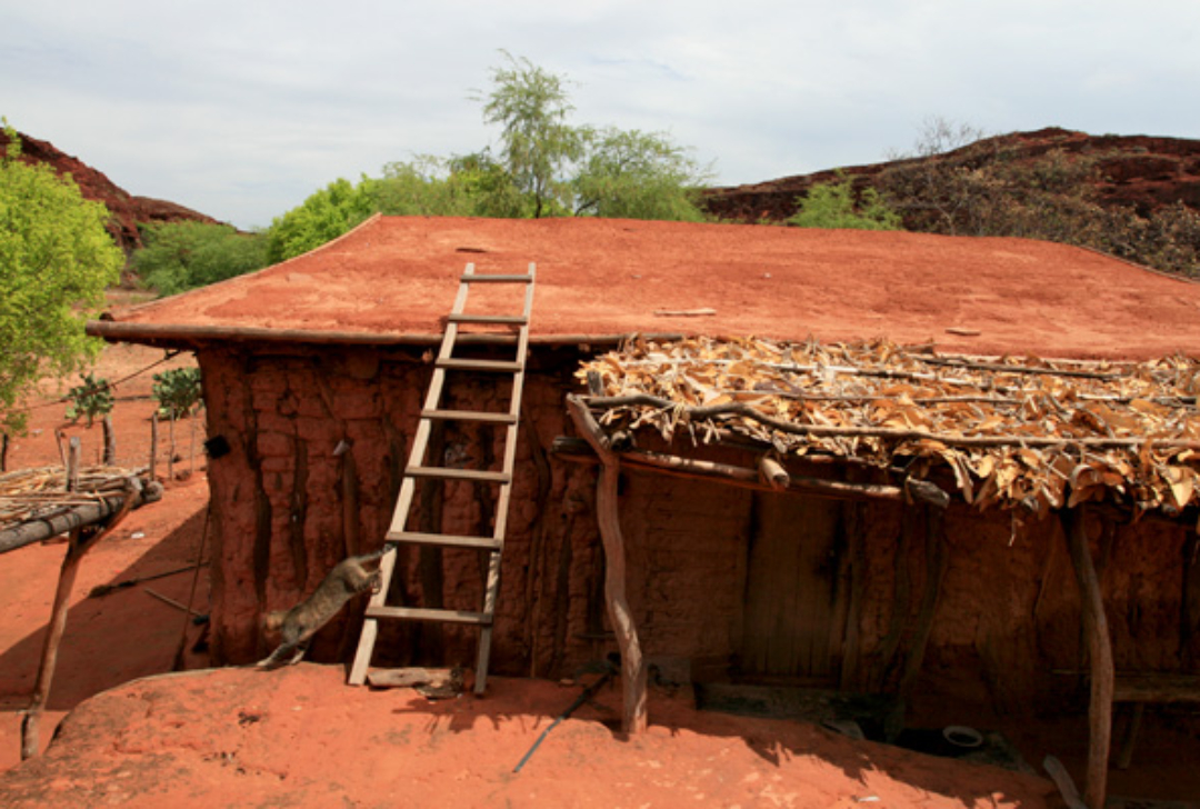 Rainwater for the Brazilian Sertão