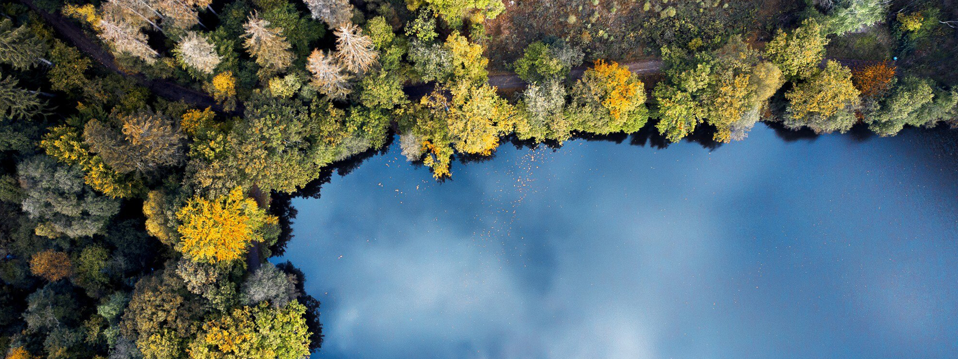 Water and Sediments: The Basis of Our Survival
