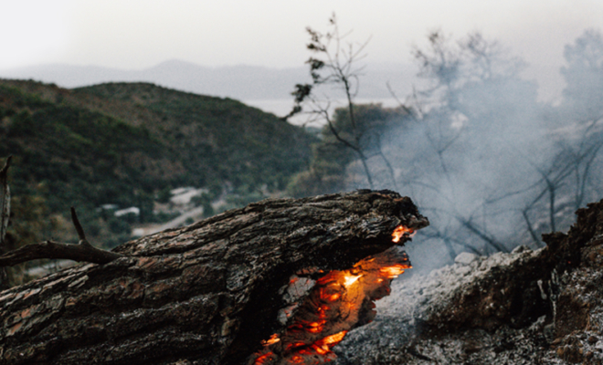 Forest Fires. We Can (and Must) Stop the Fire