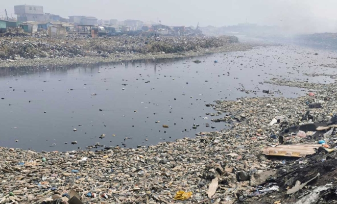 Urban Waste. The ground is also water, and tree pits are not ashtrays