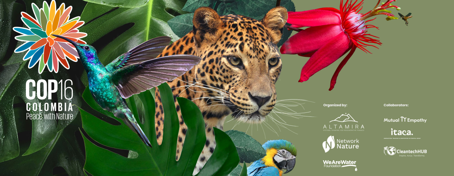 COP16- Cali, Colombiam