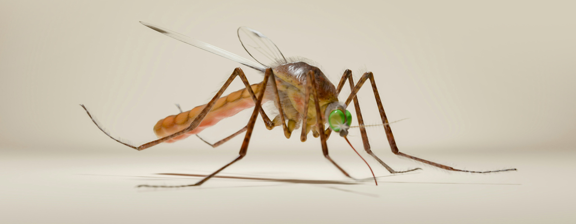 Pathogen Vectors. A Closer Look at Ecosystem Changes