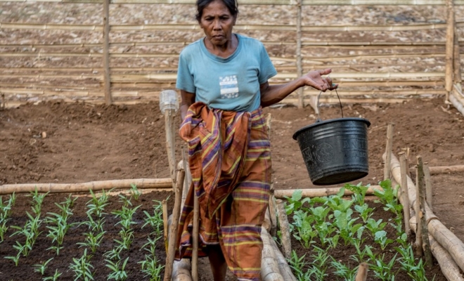 Estrés hídrico. La imprescindible gestión de la eficiencia