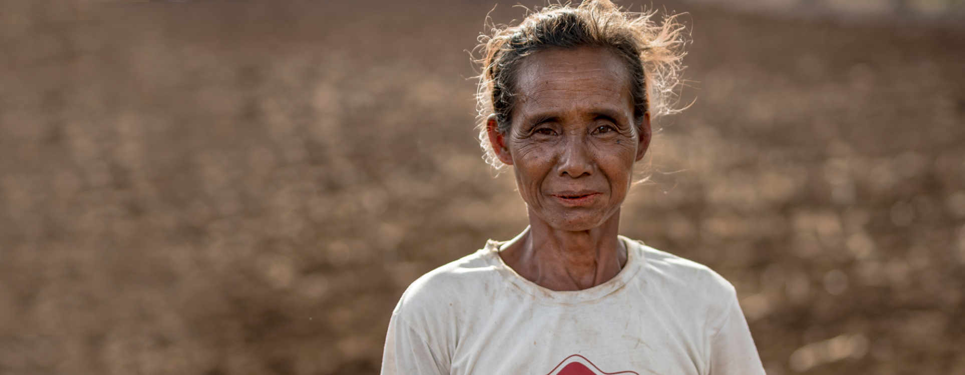 Forests and Agriculture. A Union to Feed the World