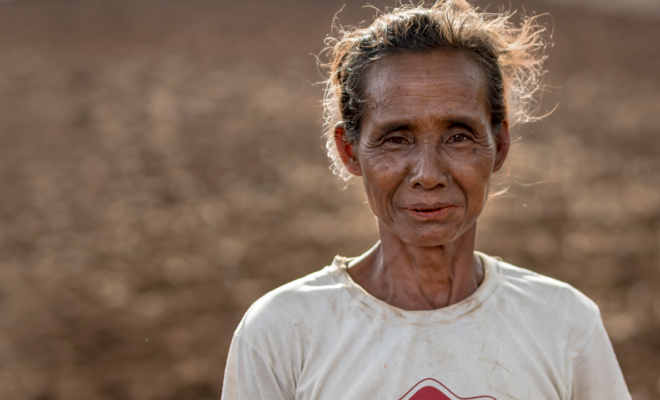 Forests and Agriculture. A Union to Feed the World